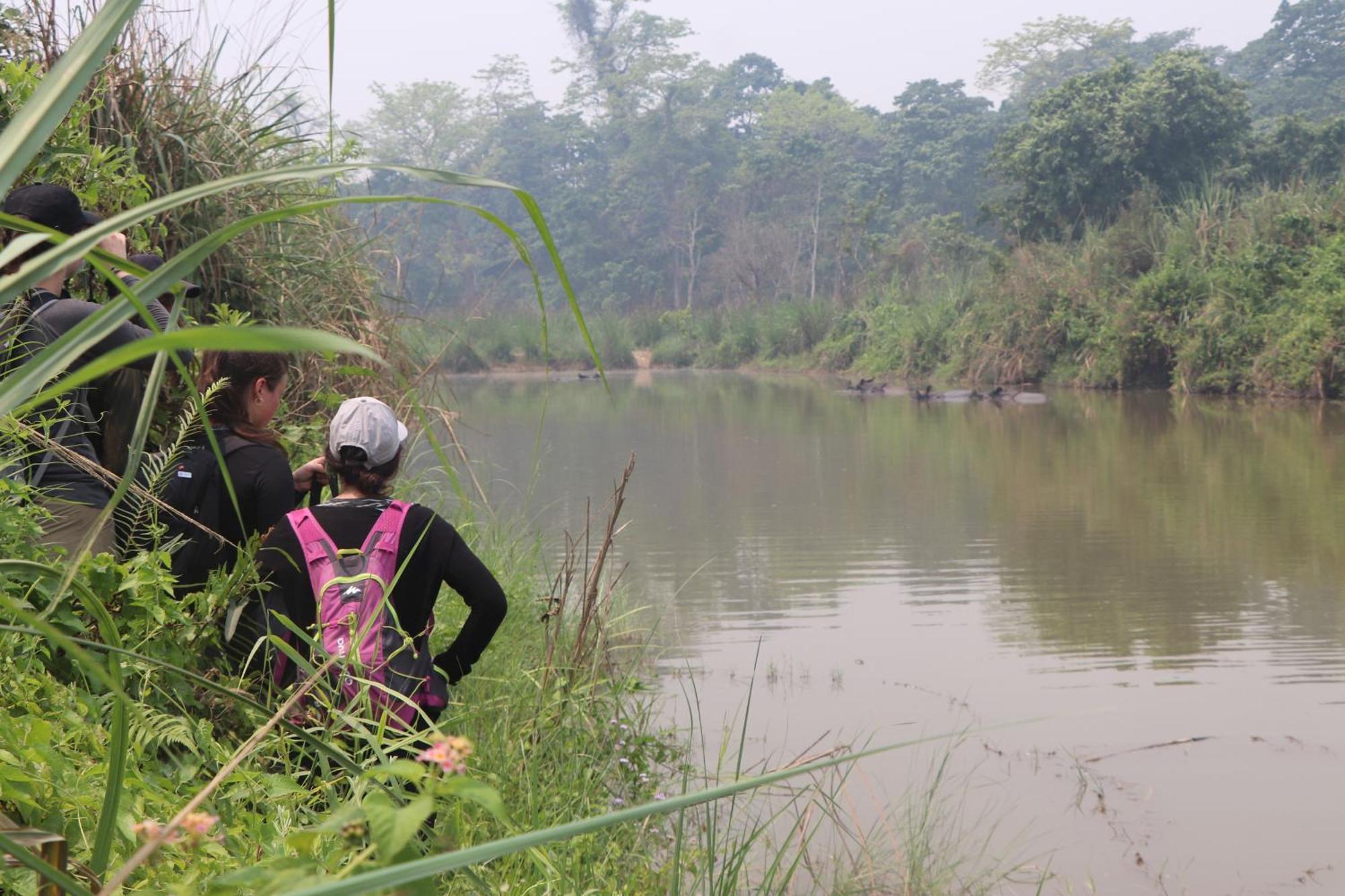 Hotel Flycatcher Chitwan- A Jungle Safari Home Sauraha Luaran gambar