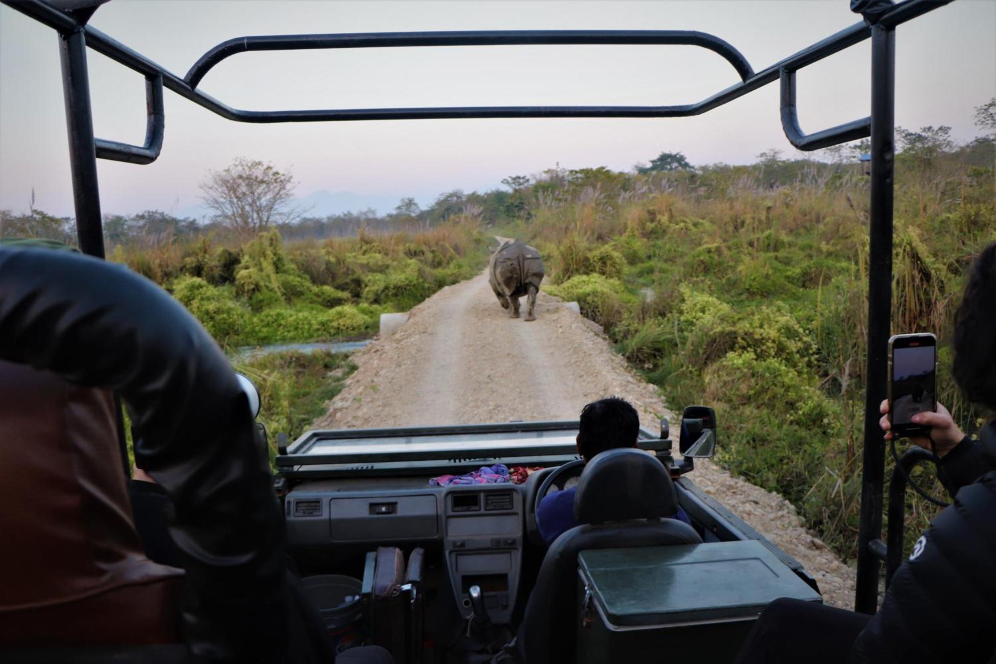 Hotel Flycatcher Chitwan- A Jungle Safari Home Sauraha Luaran gambar
