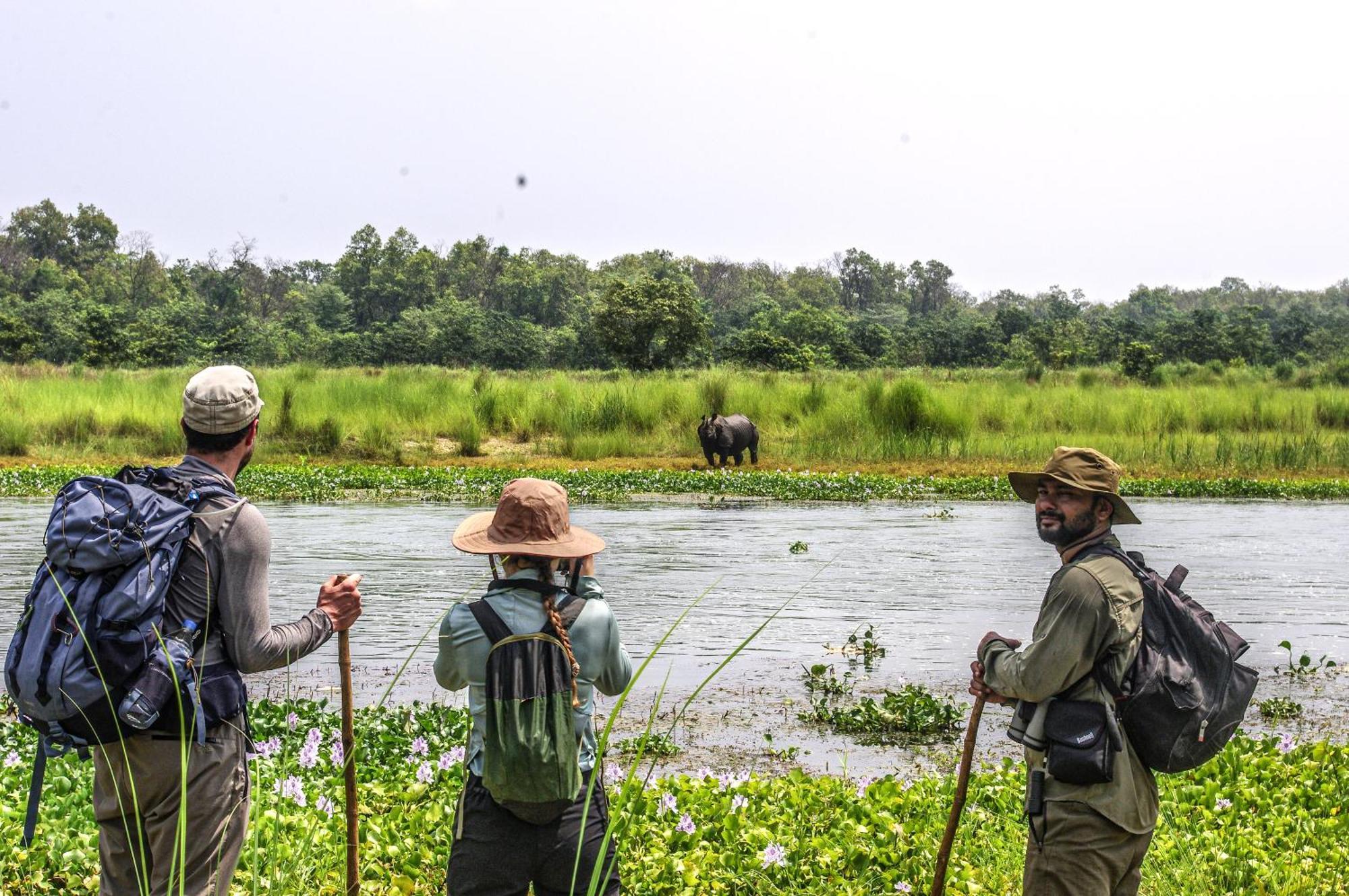 Hotel Flycatcher Chitwan- A Jungle Safari Home Sauraha Luaran gambar